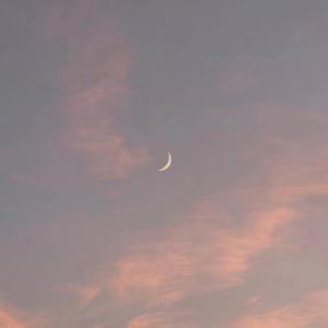 free❌❌❌日本videos
